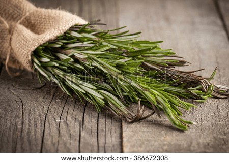Organic, natural and fresh bunch of fresh rosemary on the table