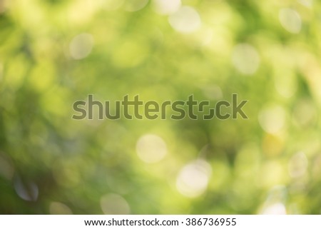 Green abstract background ,Blur background from green leaf ,Green bokeh background