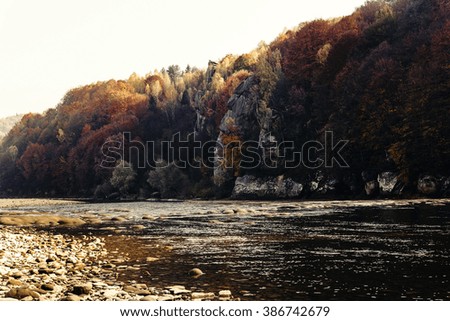 beautiful amazing autumn woods and river in sunlight, breathtaking landscapes  in ukrainian mountains, national park