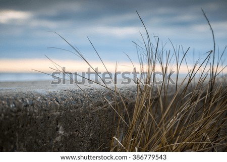 Beach Sunset With Grass