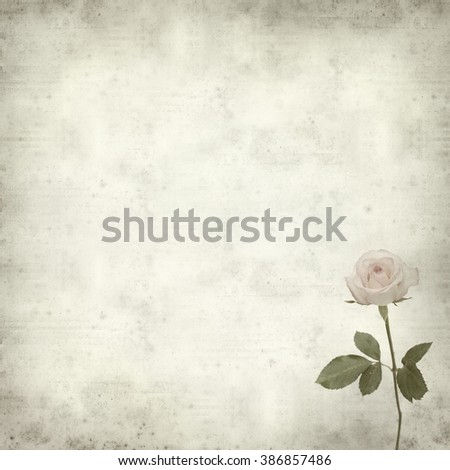 textured old paper background with pale pink rose flower
