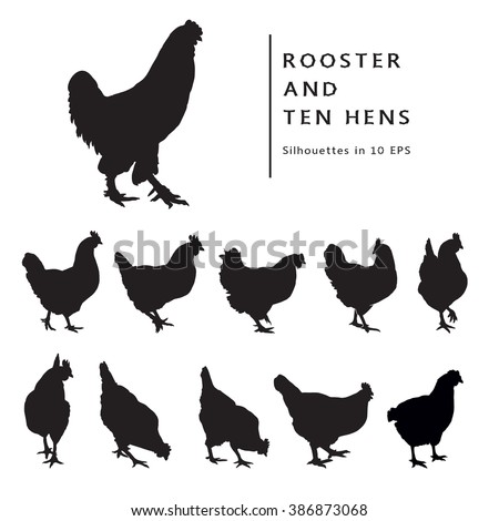 Hen And Rooster. Black and white image. Set of Isolated silhouettes.