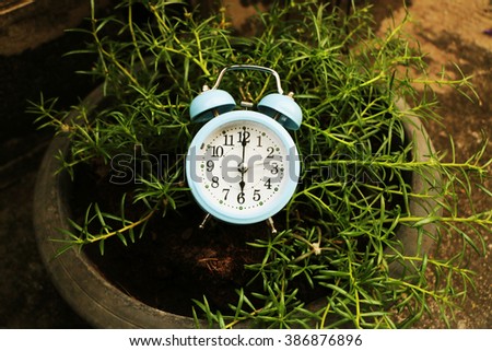 Clock in flower pot.