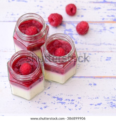 Vanilla panna cotta with raspberry sauce garnish with fresh raspberry