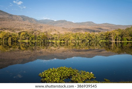 Reflection of trees background, clear water lake in thailand