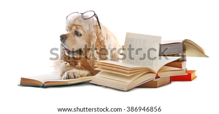 Dog and books isolated on white