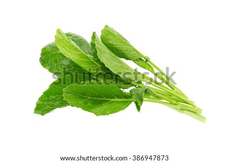kale leaves on white background.