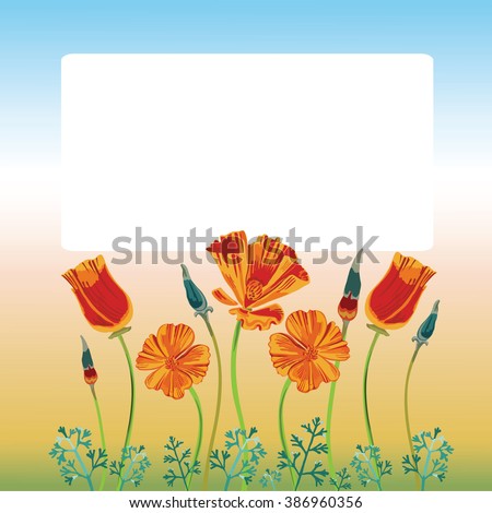 Collection of vector orange flowers, buds and leaves of california poppy growing in garden. With colored gradient background and white box for your text.