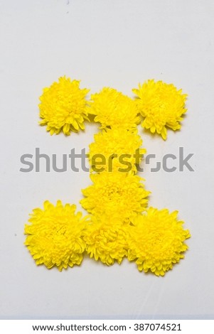 text arranged by Chrysanthemum flowers, white background isolated, (I)