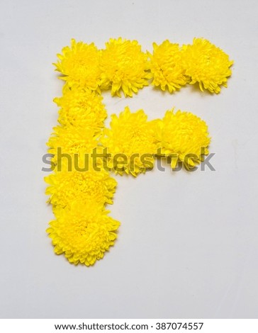text arranged by Chrysanthemum flowers, white background isolated, (F)