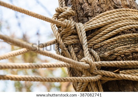 Close up of a roped tree structure