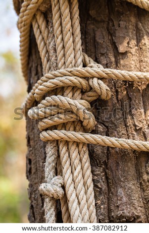 Close up of a roped tree structure