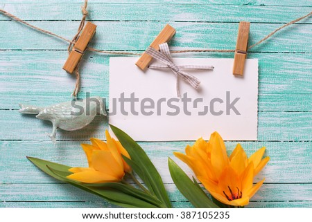 Fresh  spring yellow tulips and empty tag on clothes line on turquoise wooden planks. Selective focus. Place for text. 