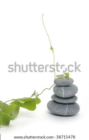 Stacked stone with ivy