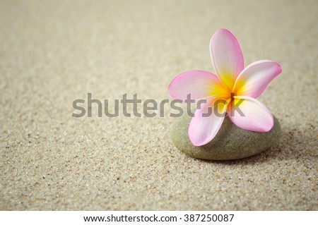Frangipani  or plumeria flower on a zen stone with sand background. Photo was added with vintage retro filter, copy space available 