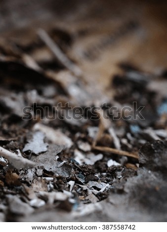 blur dark ash and rest of burned waste such as plastic, fiber and daily used waste as human-made surrounding pollution environment leaving on the ground and water in nature for the next generation
