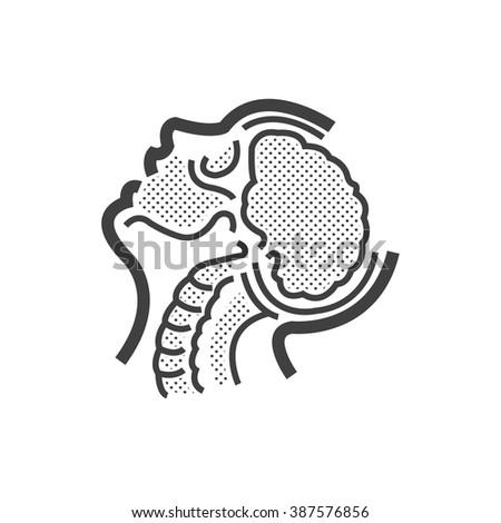 brain anatomy, Medical Doctors Otolaryngology icon