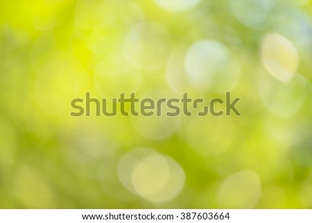 Bokeh green nature for background