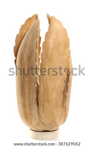 close-up of a flower carved from light wood on a white background studio
