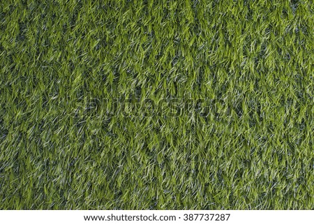 Grass Background.