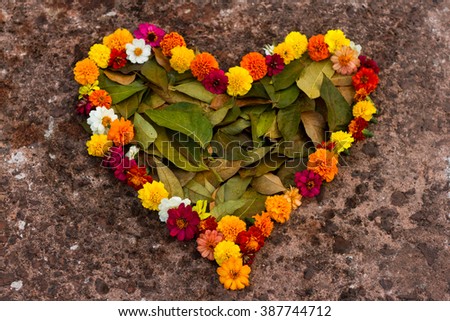 Hearts By Spring Flowers and Fallen Leaves