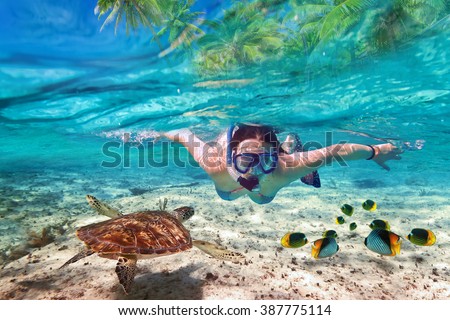 Beautiful women snorkeling in the tropical sea Royalty-Free Stock Photo #387775114