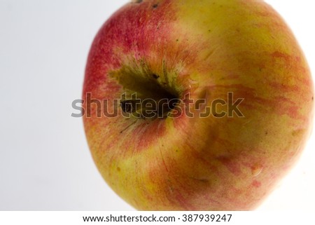 one red Apple on white background
