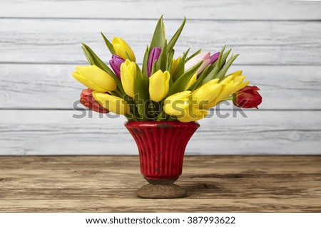 Colorful tulips,spring