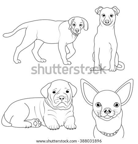 Set of 4 dogs coloring page  for Children to Coloring Book