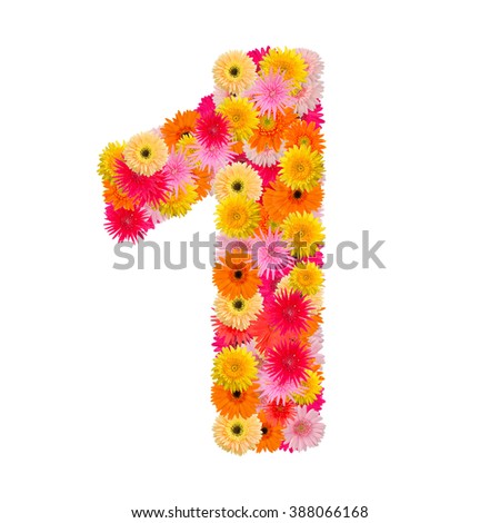 flower number one. Floral element of colorful alphabet made from  gerbera 