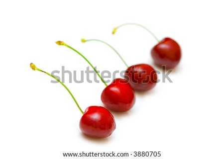 Row of cherries isolated on the white