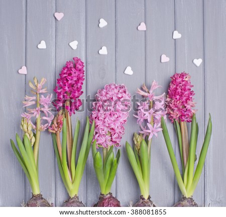 A variety of beautiful spring flowers on an old wood background