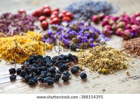 Healing herbs, herbal tea assortment and healthy berries on wooden table. Herbal medicine. Selective focus.