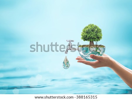 World environmental ecology, CSR, ESG eco-friendly, environment sustainability  concept with rain forest tree planting growing on green globe with water faucet. Element of the image furnished by NASA Royalty-Free Stock Photo #388165315