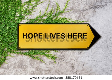 Hope lives here on yellow sign hanging on ivy wall