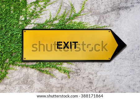 Exit on yellow sign hanging on ivy wall