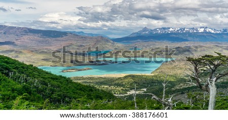 HDR Picture of trees, lake, and mountains in Patagonia