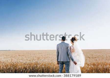 sunny view of a wheat field with a couple are standing  and looking at the blue sky