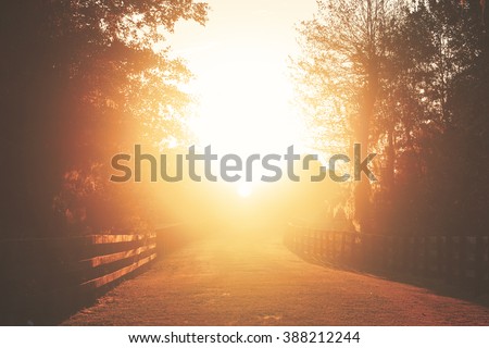 Rural country farm ranch grass road with three board wood fences under sunset or sunrise sunbeams with lens flare looking romantic divine heavenly mysterious warm serene transcendent Royalty-Free Stock Photo #388212244