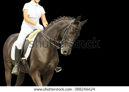 Dressage horse on black background.