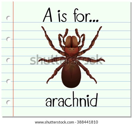 Flashcard letter A is for arachnid illustration