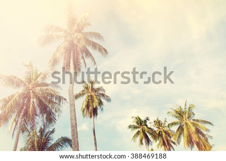 Trees Jungle Blue Sky Toned Pastel Shabby Effect Nature Landscape Tropical Background Holiday Travel Design View