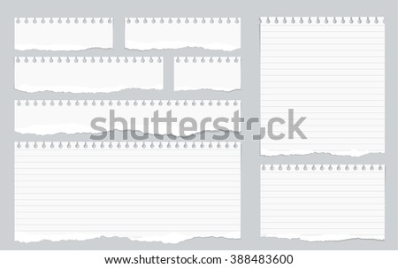 Pieces of torn white lined notebook paper on gray background Royalty-Free Stock Photo #388483600