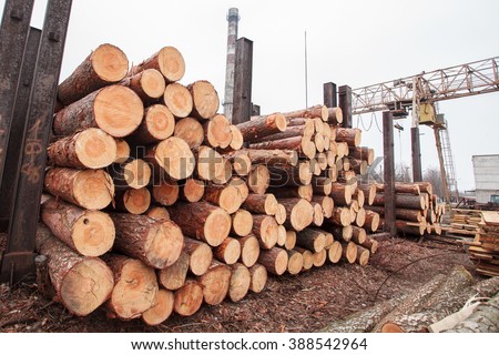 wood sawmill log crane timber Royalty-Free Stock Photo #388542964
