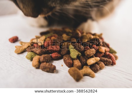 dry cat food, prrr, letters, cat's paw