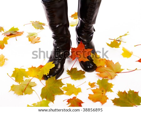 Picture human legs in laced black boots