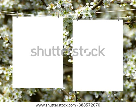 Close-up of two hanged paper sheet frames with pegs on white blooms background