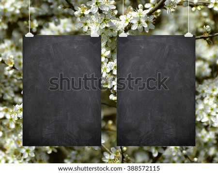 Close-up of two hanged blackboard sheet frames with clips on green and white flowers background