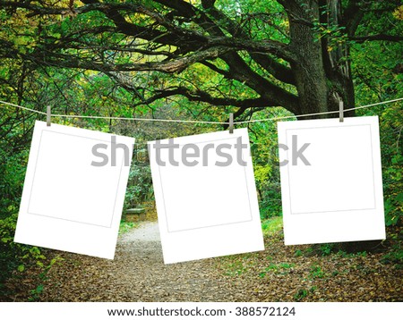 Close-up of three hanged square photo frames with pegs on green forest background