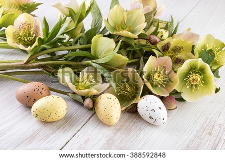 Easter decoration pastel colors flowers